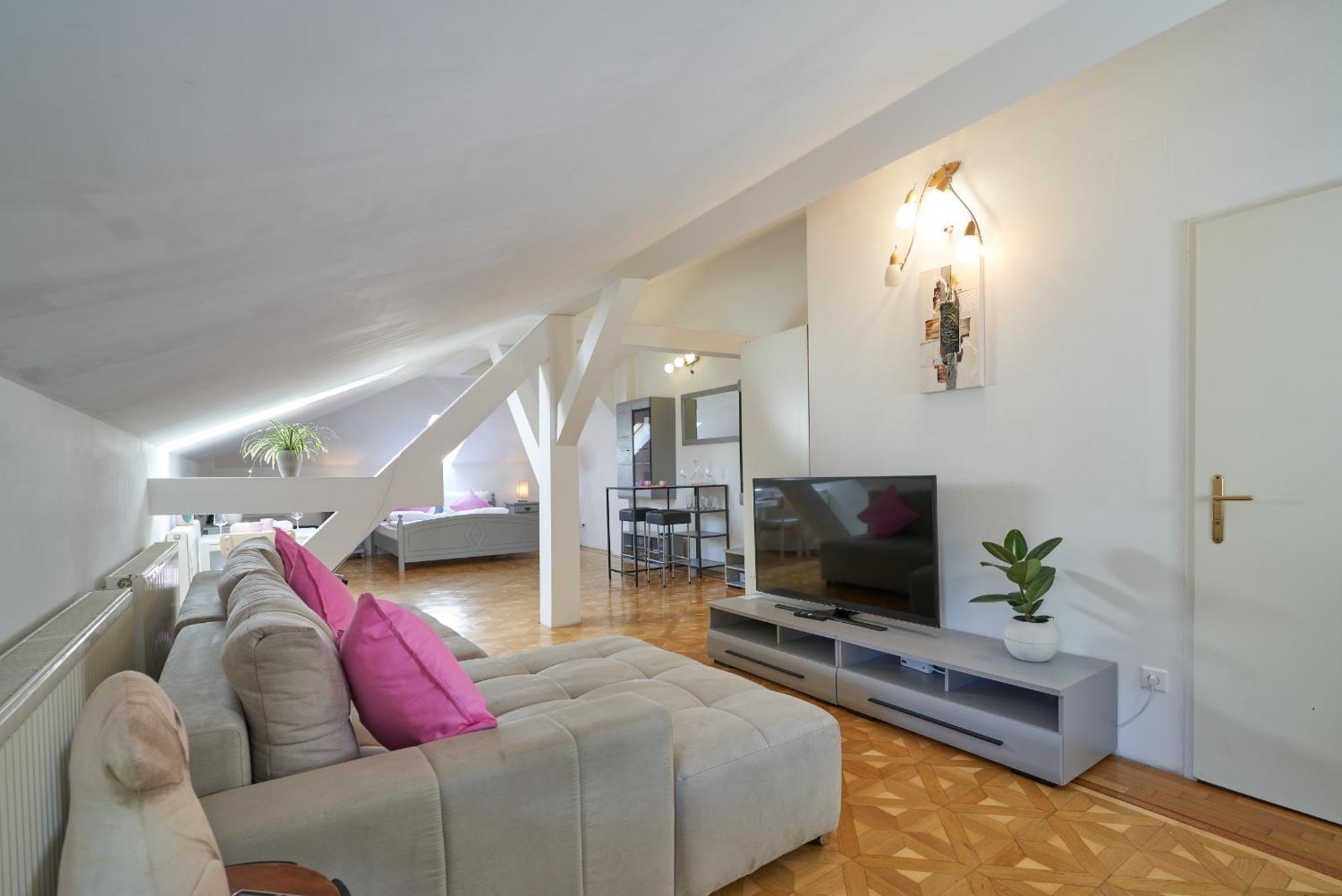 Big Apartment In Guesthouse Μπάντεν Εξωτερικό φωτογραφία
